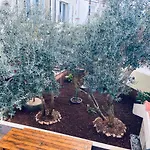 Gule Apartment